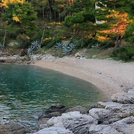 Apartment With Wifi - 13442 *